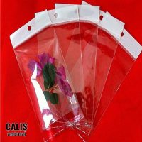 Yuvarlak askı delikli baskısız bantlı opp poşet numuneleri.